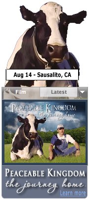 Widget for FB Wall