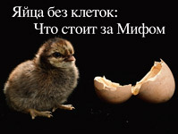 Cage-Free eggs