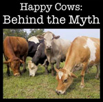 Happy Cows