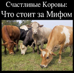 Happy Cows