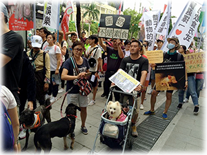 Animal Rights March in Taiwan