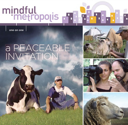 Mindful Metropolis article