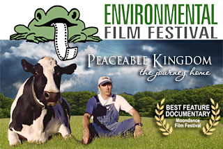 environmental film fest in DC