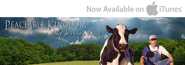 Peaceable Kingdom: The Journey Home on iTunes