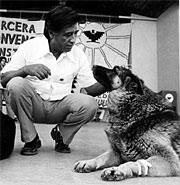 Cesar Chavez with Boycott