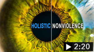 Holistic Nonviolence